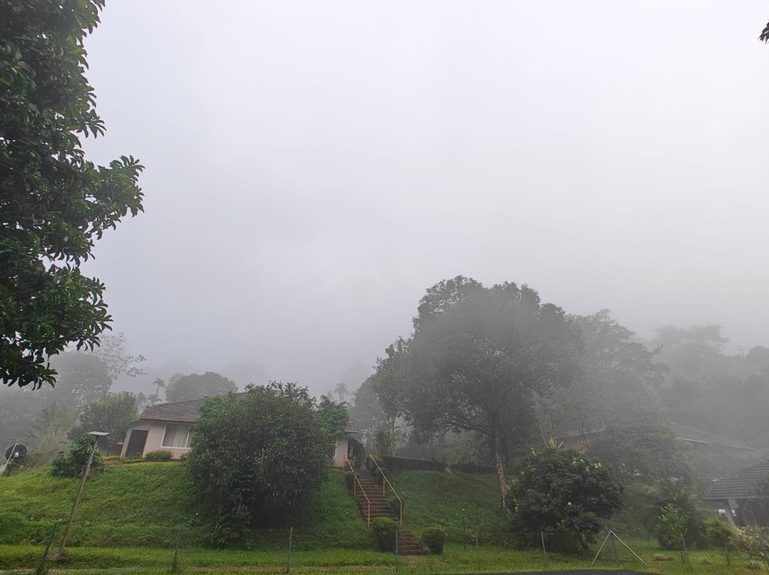 Abad Brookside Lakkidi主图