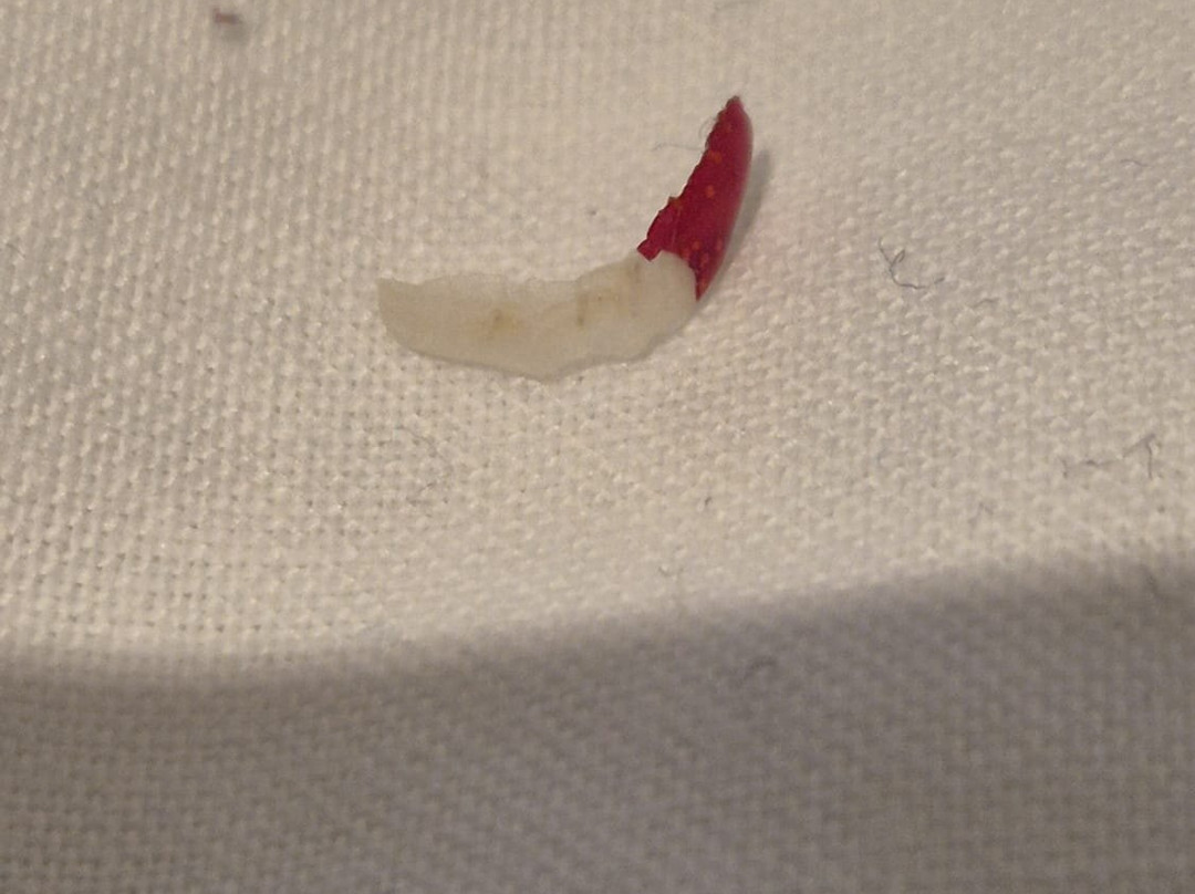 The Salty Monk主图