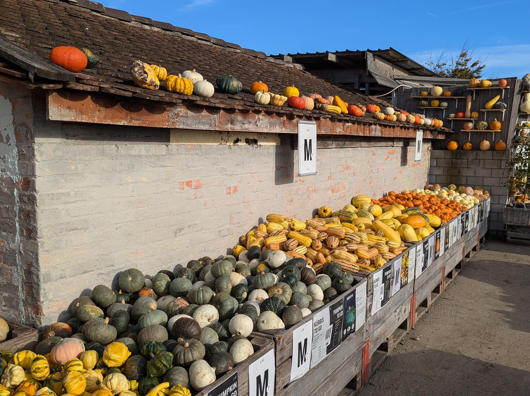 Römerhof, Juckerfarm AG-克洛滕必去景点