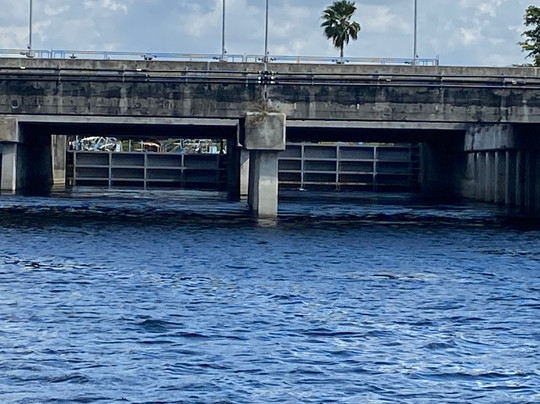 Swampdog Tours-韦斯顿必去景点