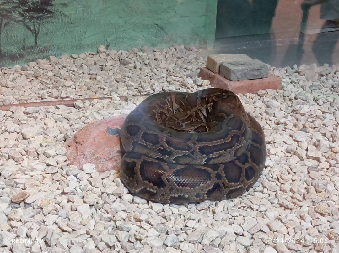 Al Khor Park-Al Khor必去景点