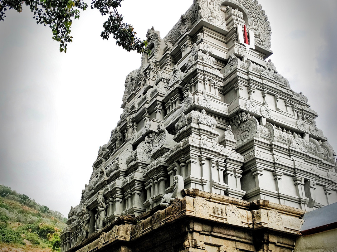 Kapila Theertham 景点图片