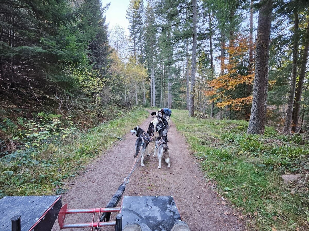 La Petite Finlande主图