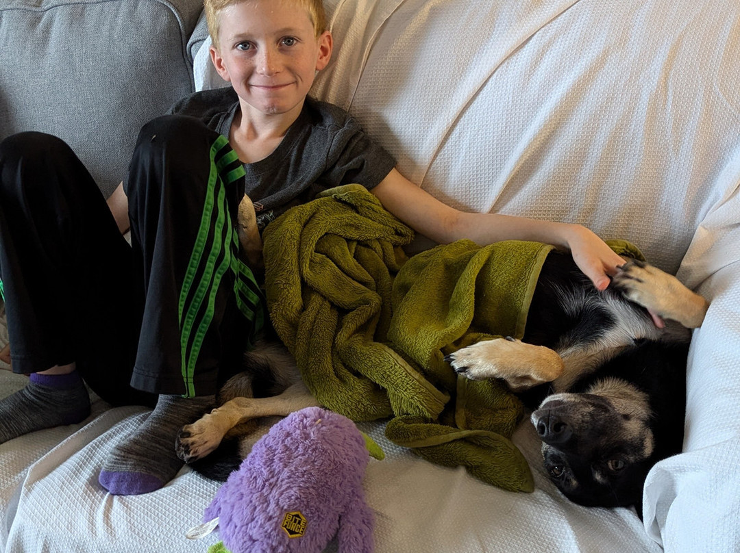 Canterbury Inn主图