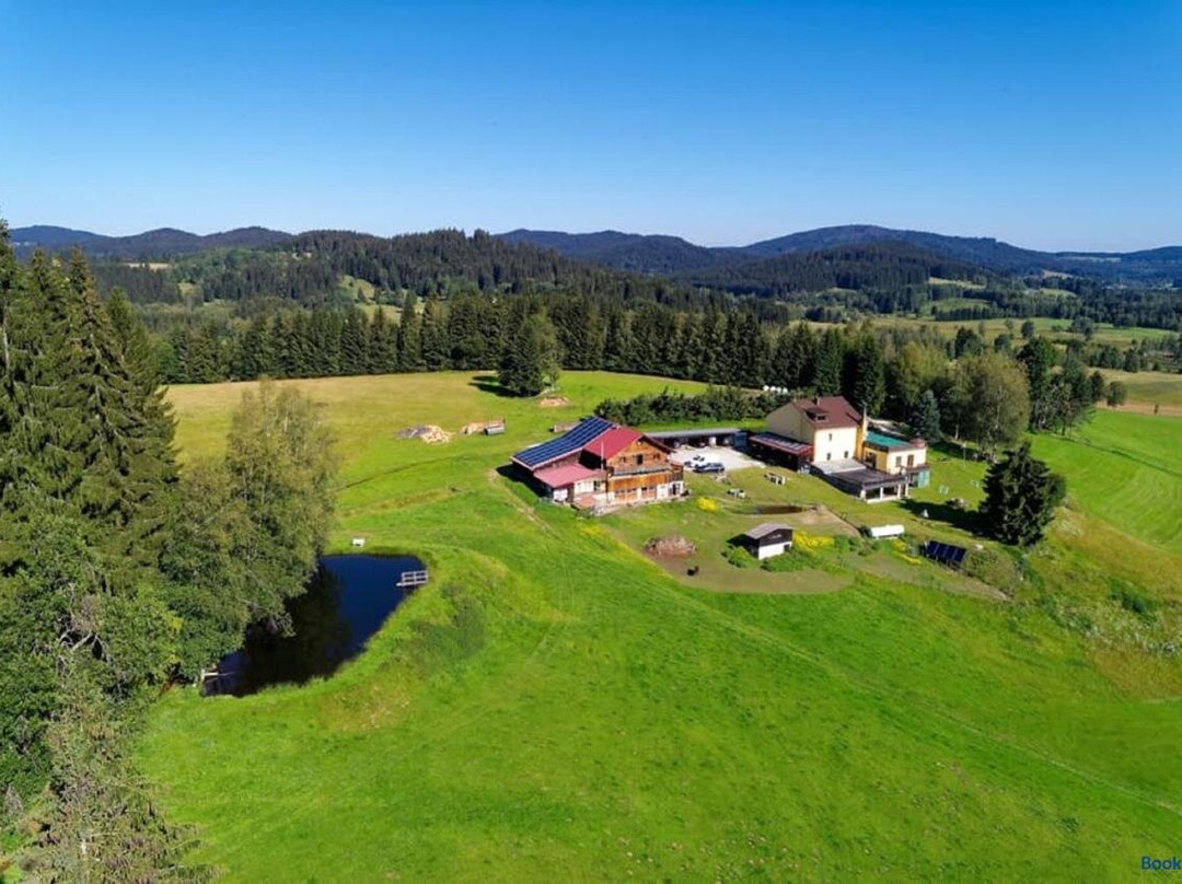 Bauernhof Pension Runenhof