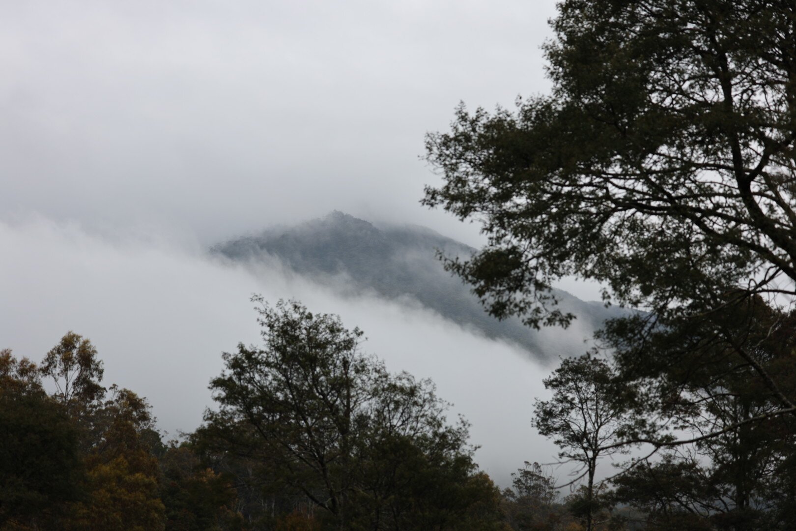 Mountain Valley Wilderness Holidays-官方