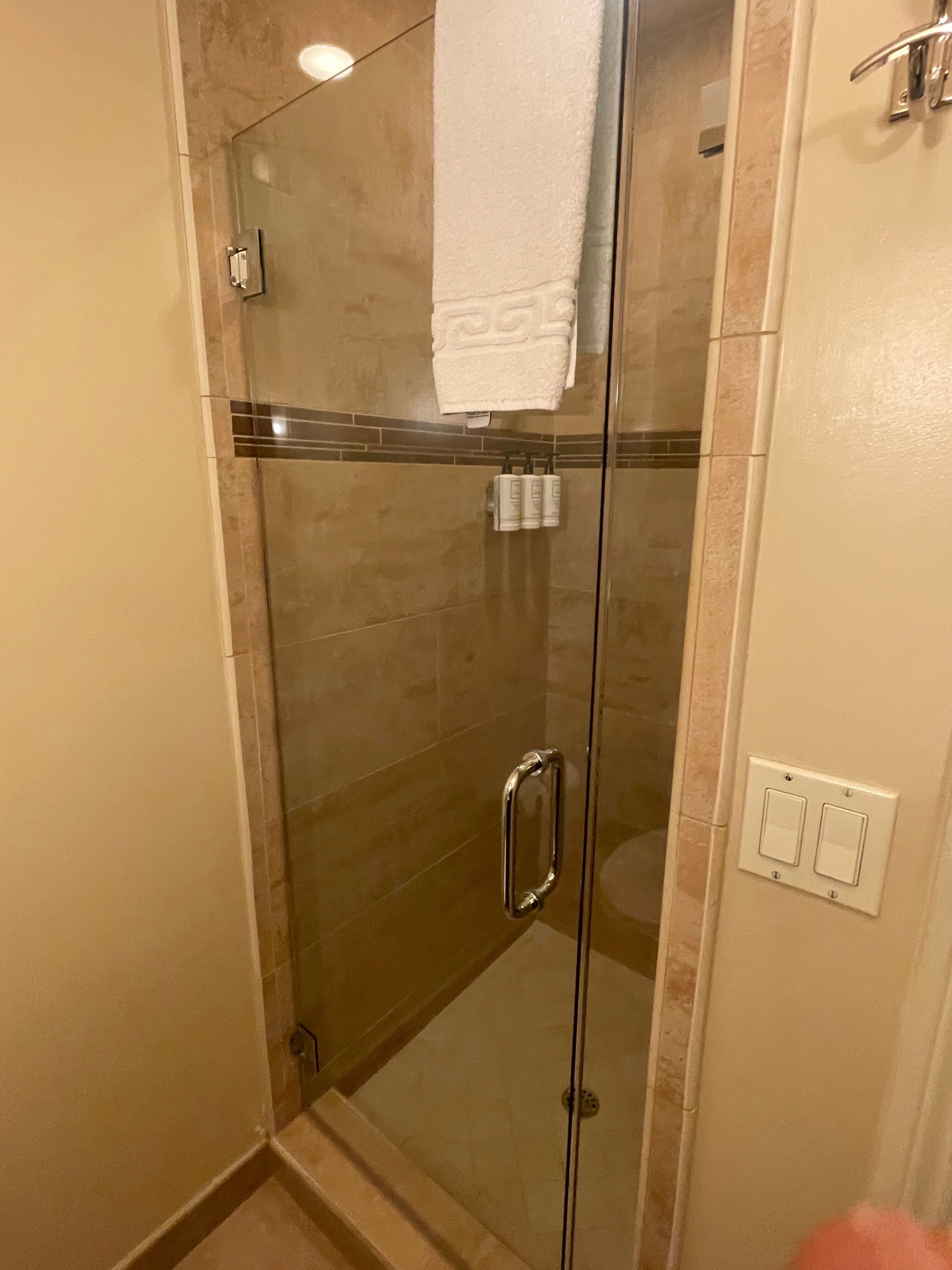 SFO德兰酒店-浴室