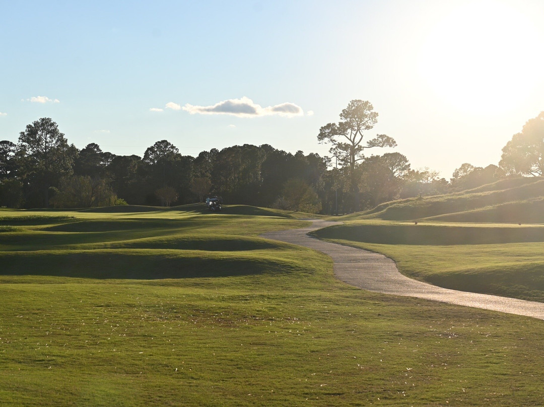 PineHills & Palmetto at Myrtlewood Golf Club-美特尔海滩必去景点