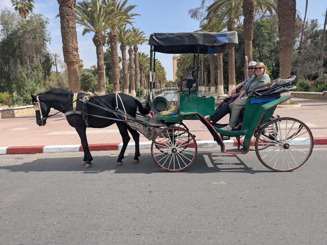 Taroudant Caleche Carriage Tours-塔鲁丹特必去景点