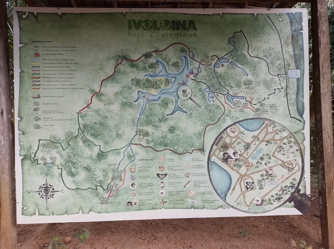 Parc Ivoloina景点图片