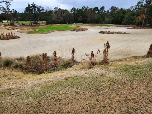 True Blue Golf Course-帕利斯岛必去景点