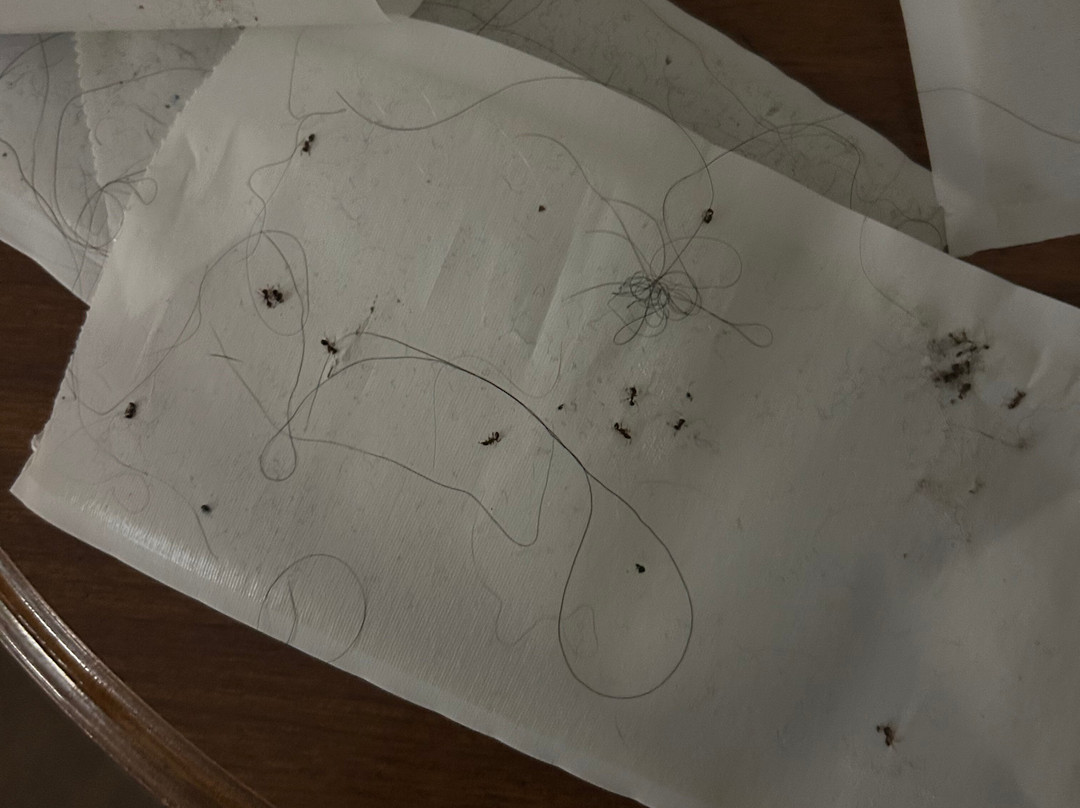 Ramada by Wyndham Medicine Hat主图