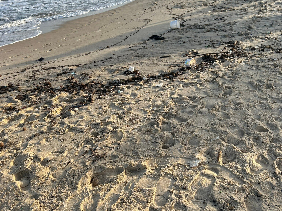 TMK Hotel Flora Park