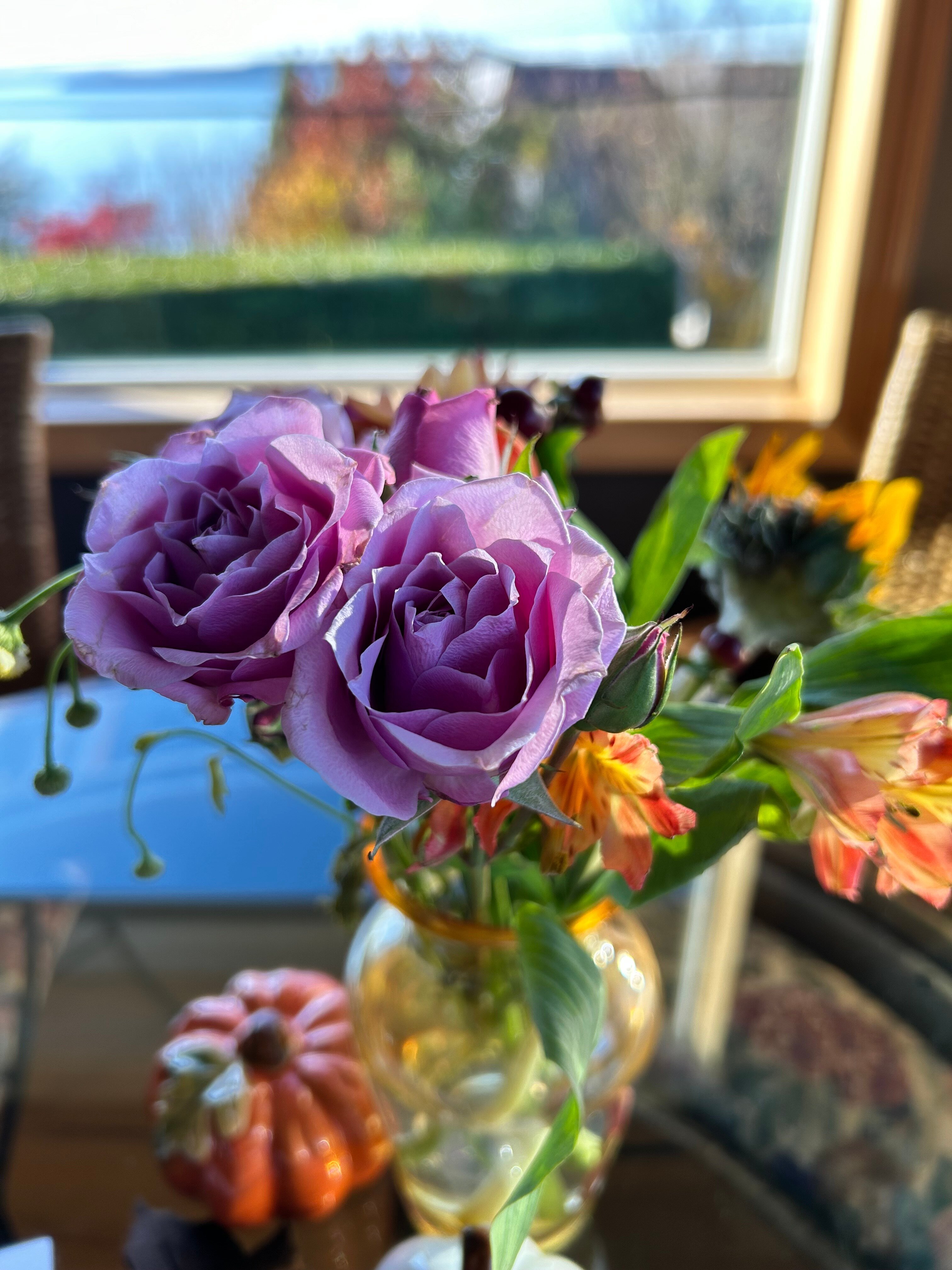 Three Tree Point Bed and Breakfast-官方