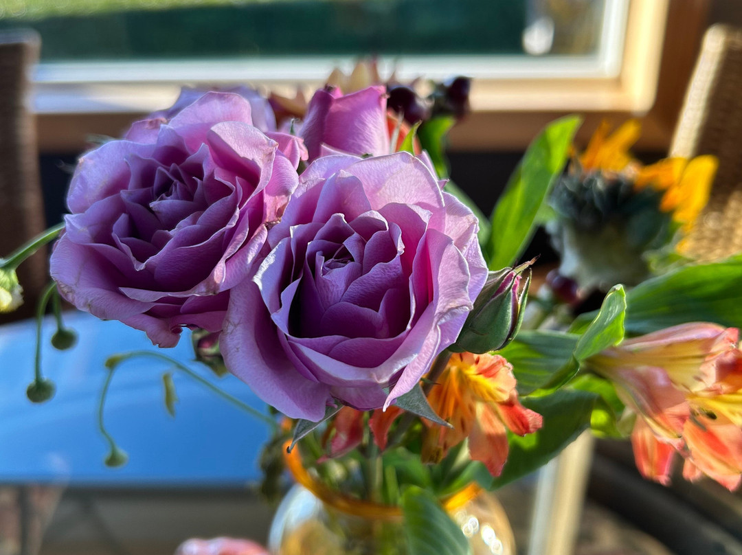 Three Tree Point Bed and Breakfast主图