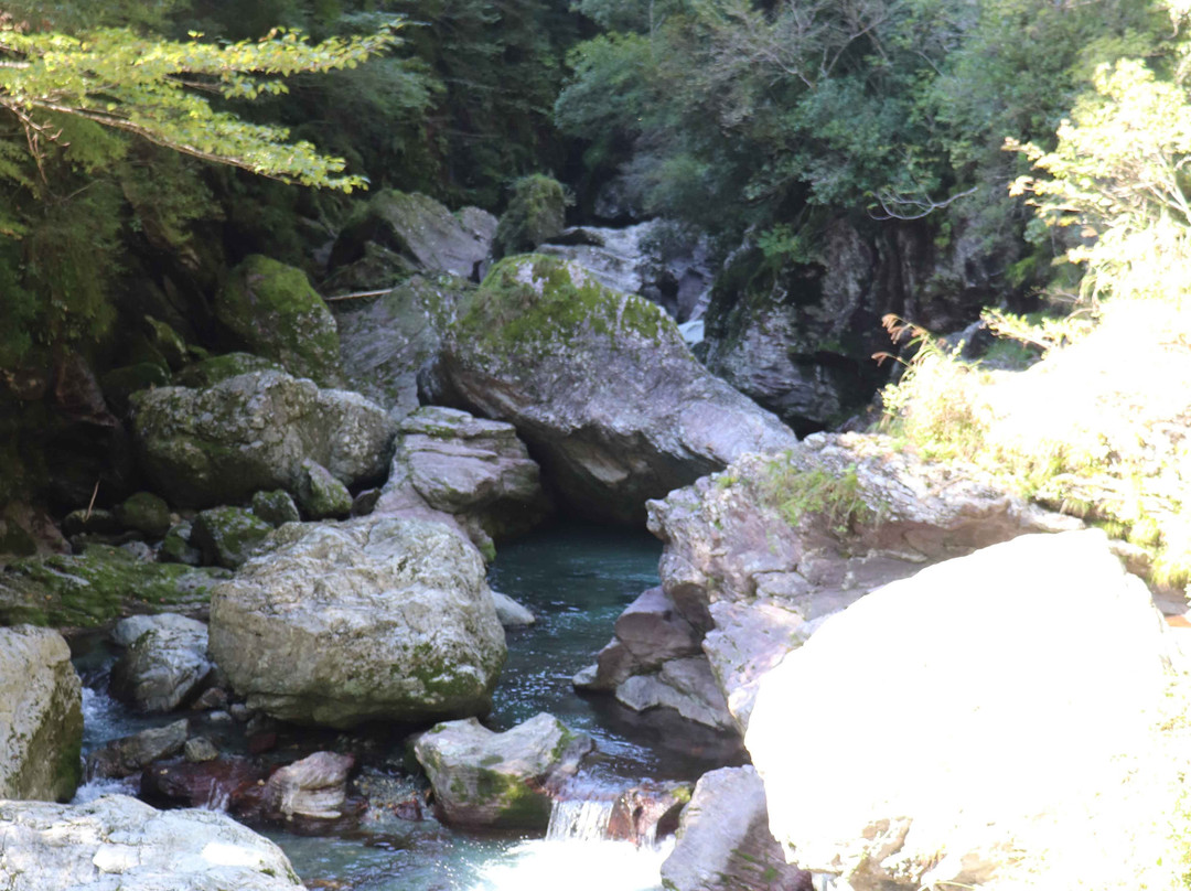 Niyodo River-高知县必去景点