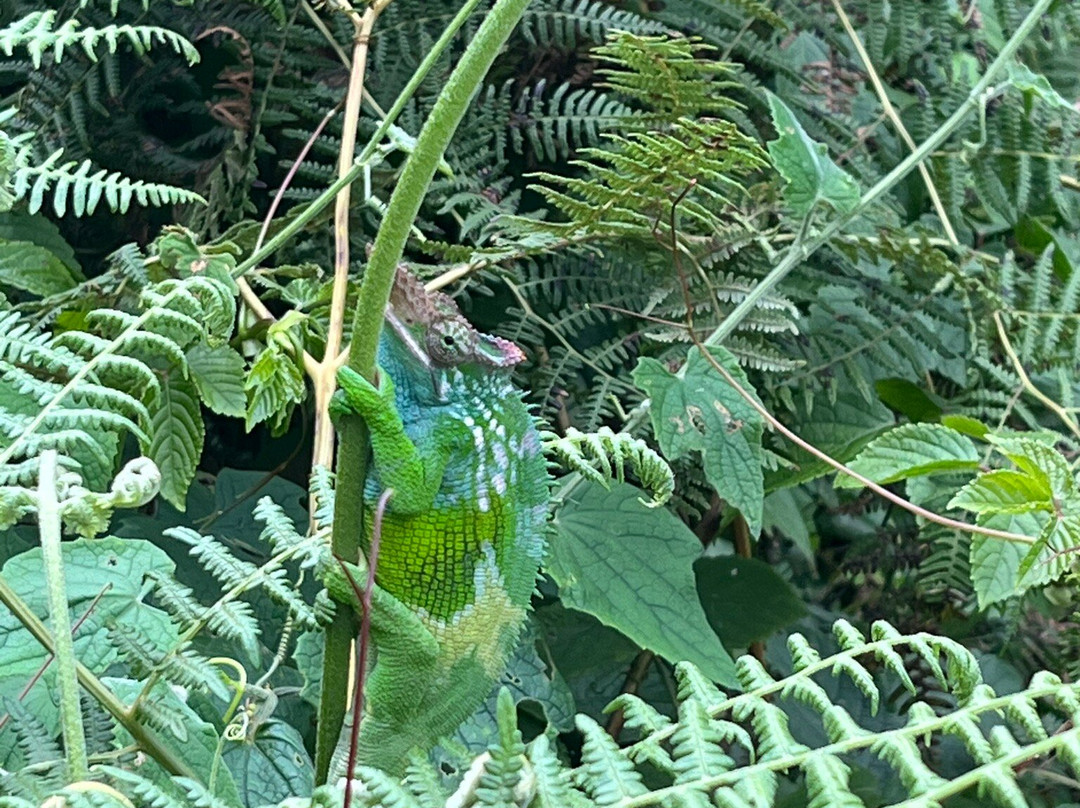 Tupande Usambara-卢绍托必去景点