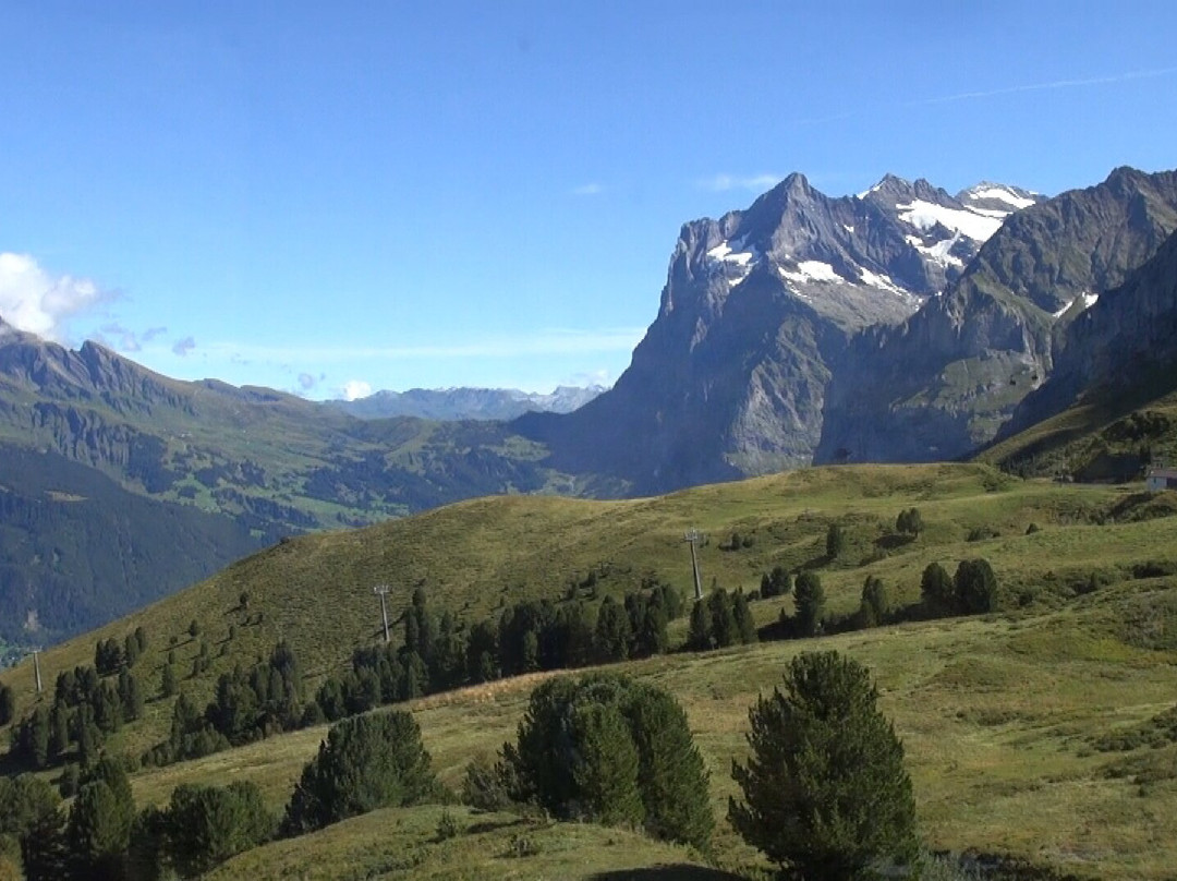 The Wetterhorn-格林德瓦必去景点