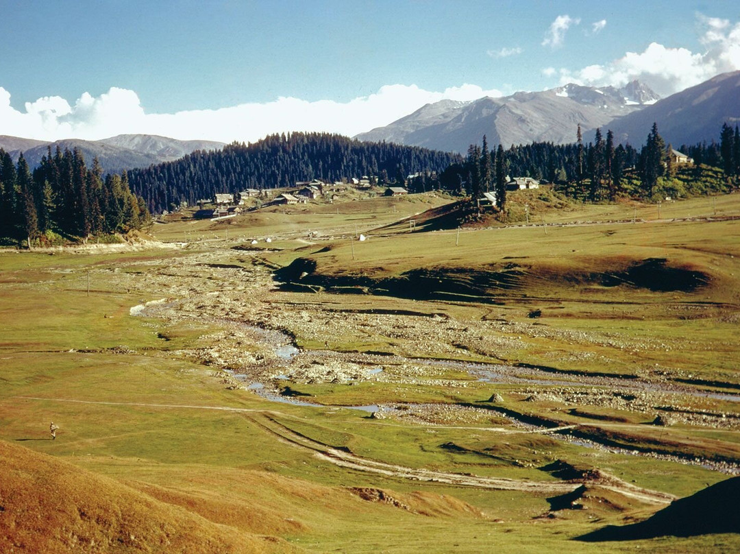 Travel Agency in Kashmir-斯利那加必去景点