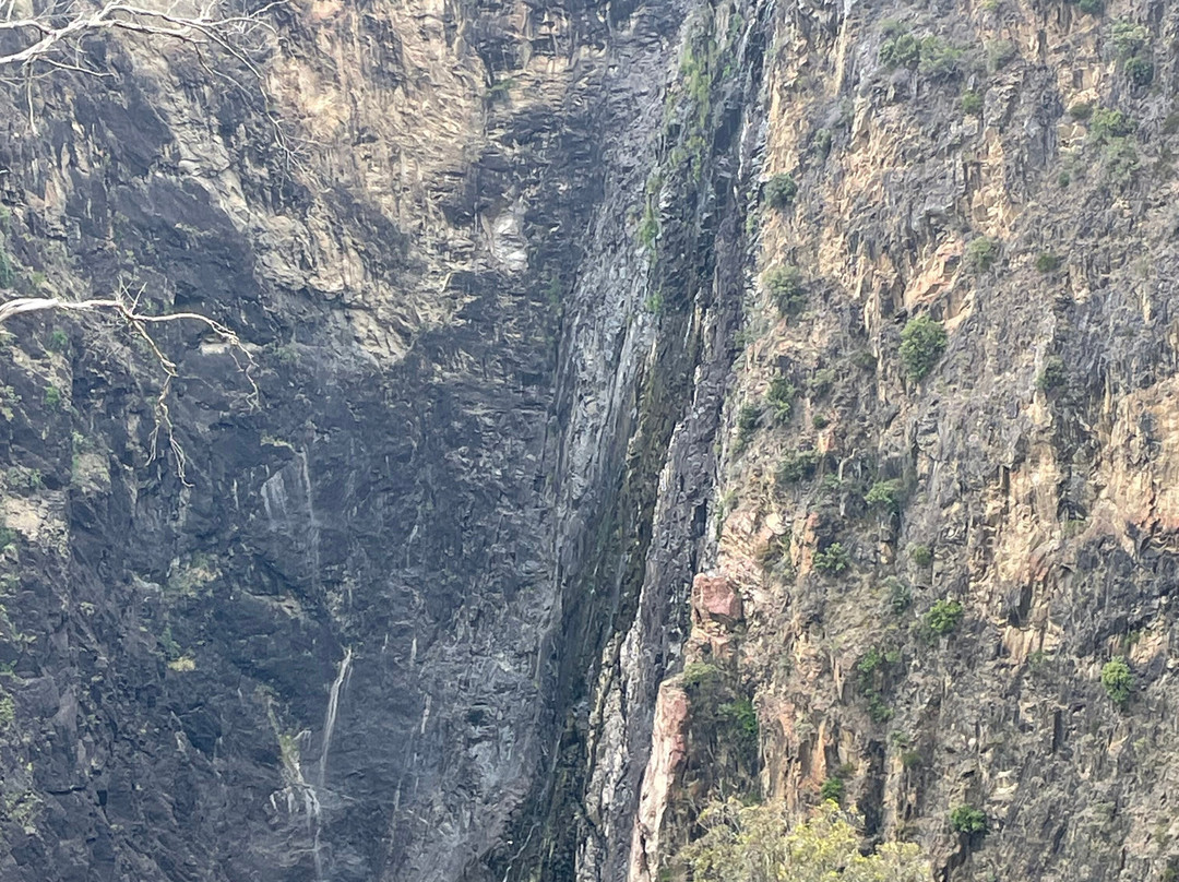 Dangar Falls景点图片