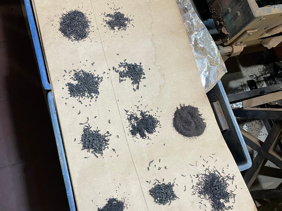 Muswenna Tea Factory-加勒必去景点