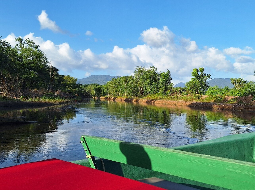 Nanan's Caroni Bird Sanctuary Tours-Caroni必去景点