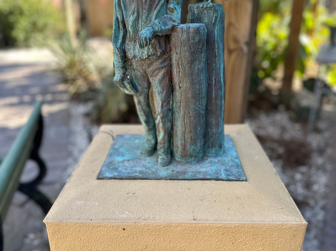 Save Our Seabirds-萨拉索塔必去景点