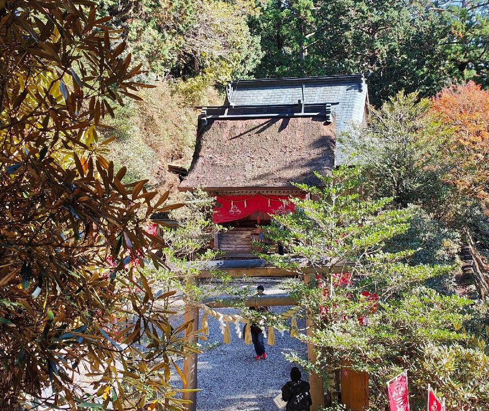 Tamaki Shrine景点图片