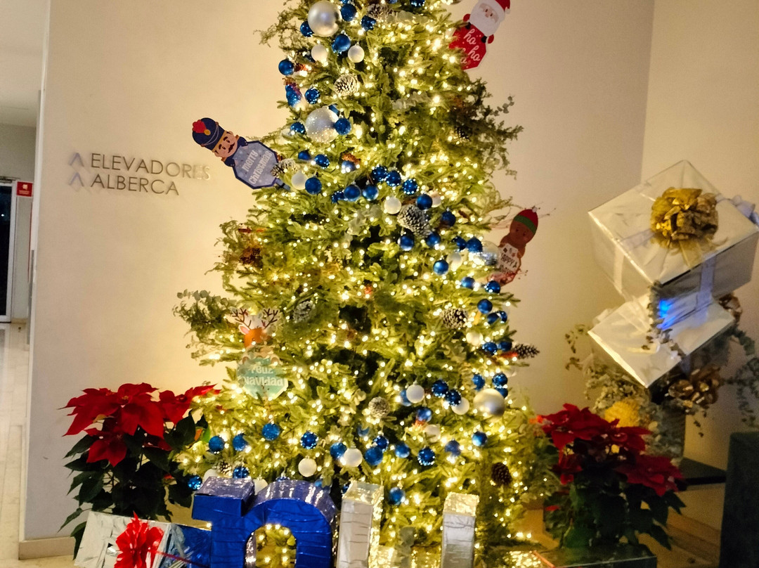 Fiesta Inn Parque Puebla主图