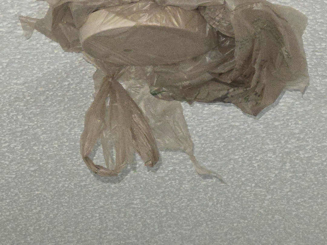 Super 8 by Wyndham Poplar Bluff Missouri主图