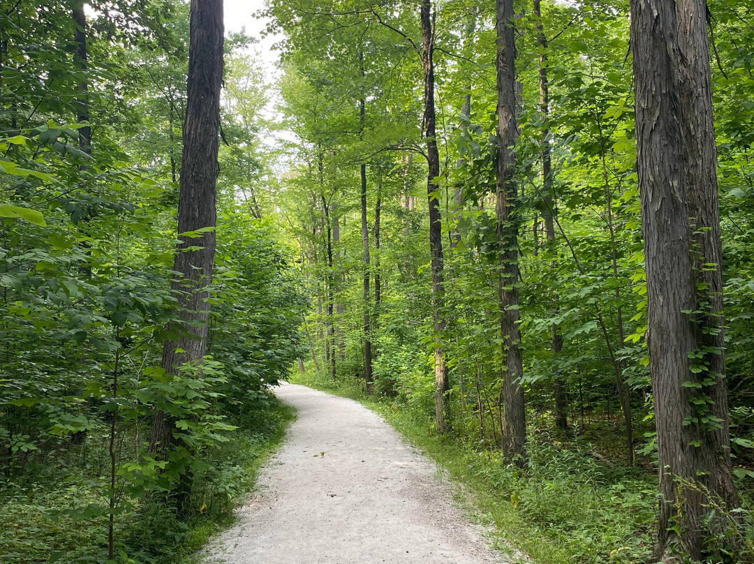 Chapin Forest Reservation景点图片
