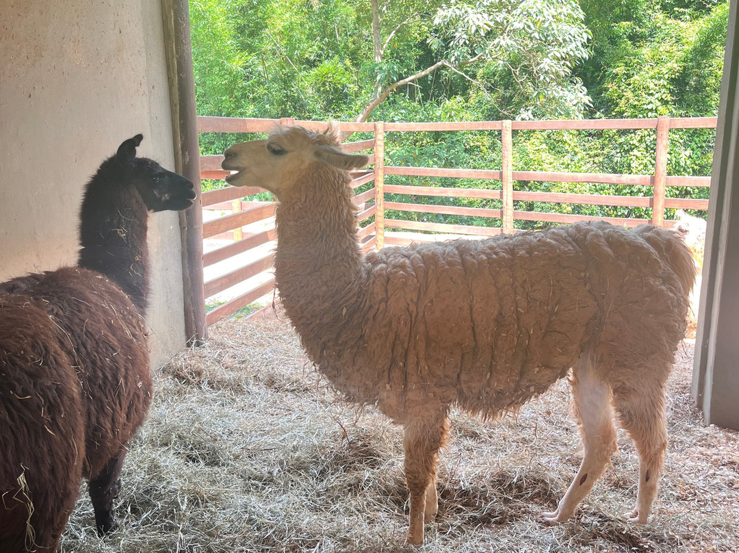 法森达多纳卡罗莱纳农家乐主图