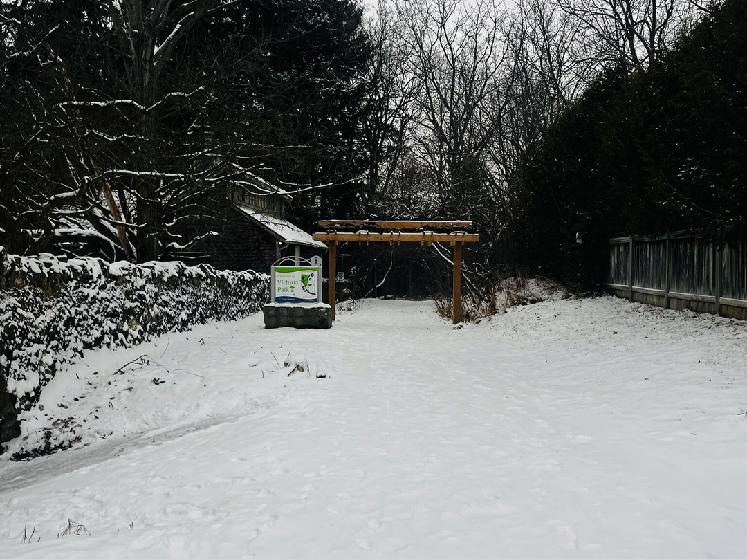 Elora Gorge Falls-伊劳拉必去景点
