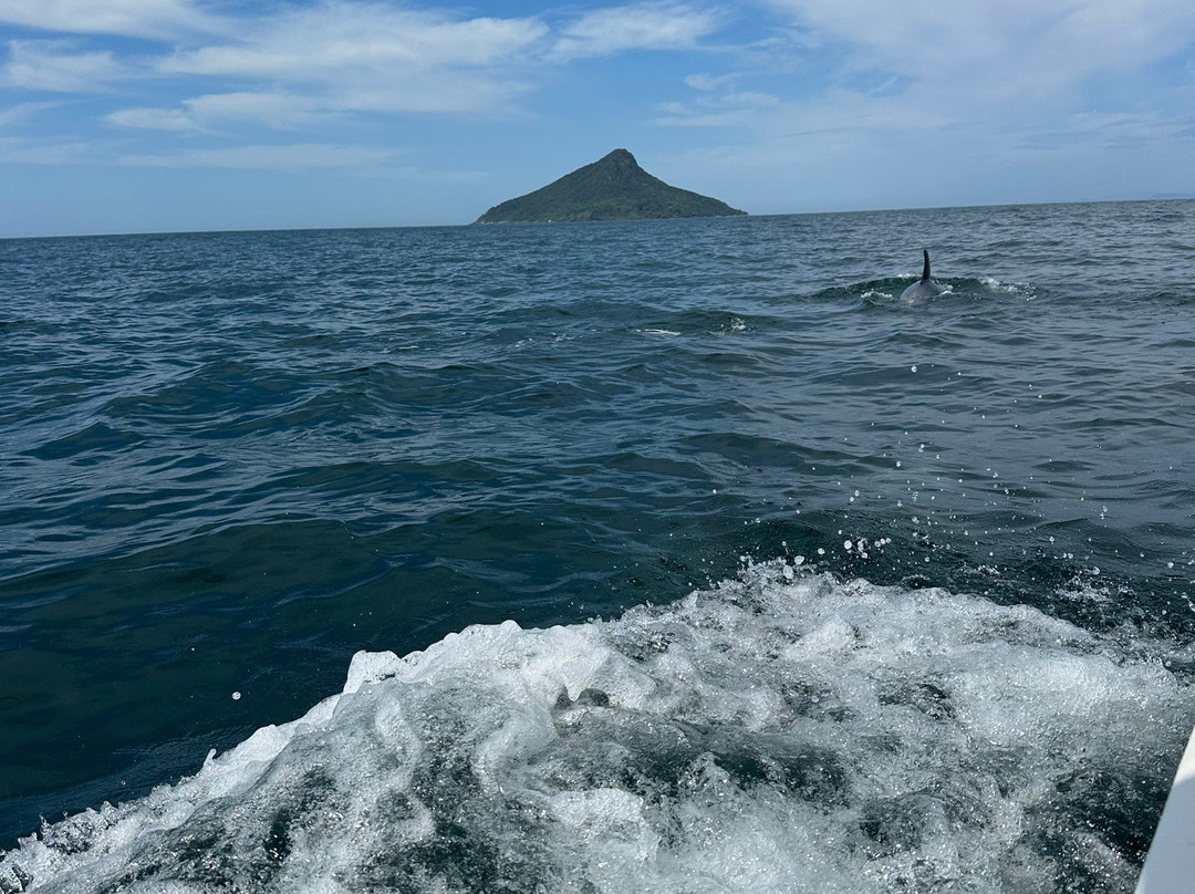 Passeio de Lancha em Boiçucanga Alma Surf Tour景点图片