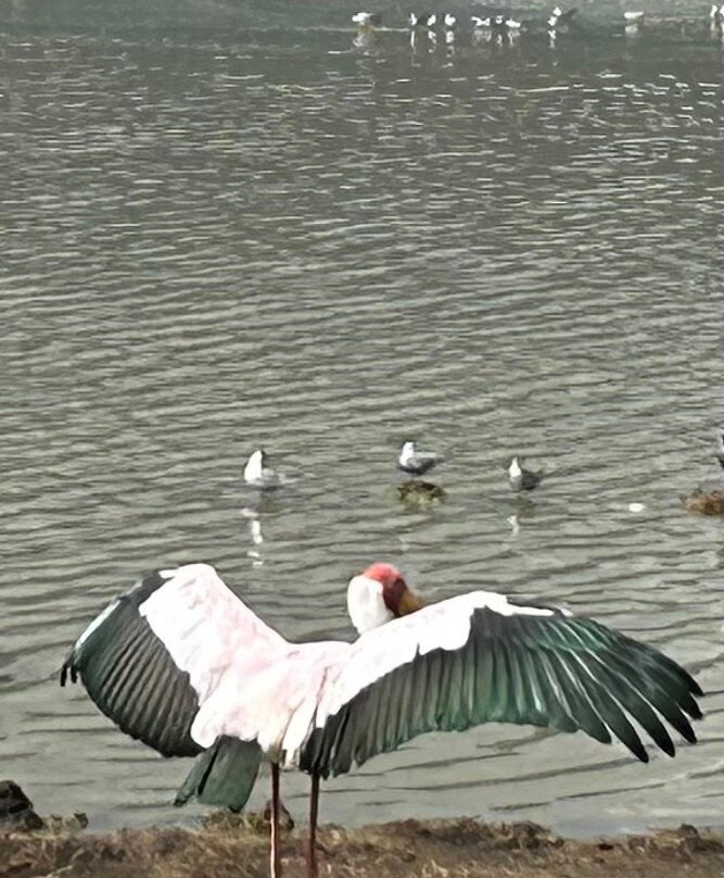 Evarest Adventures-阿鲁沙必去景点