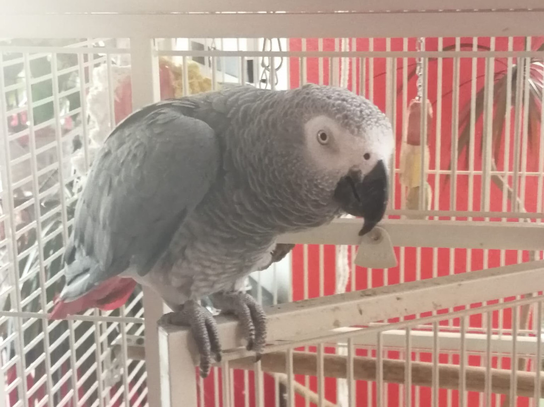 Whispering Palms Inn主图