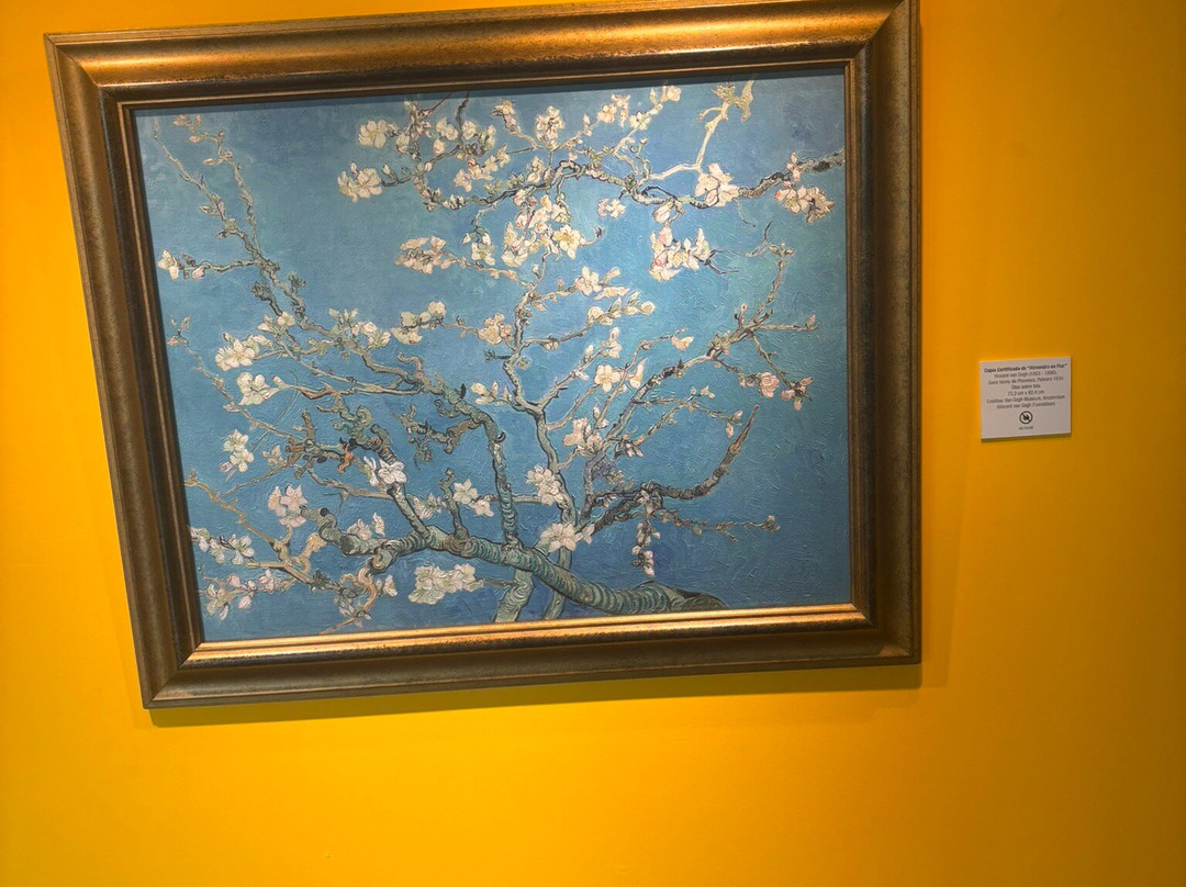 Museo Emilio Caraffa景点图片