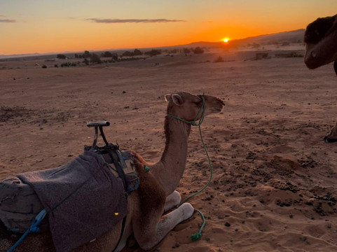 Take A Break Travel Morocco-梅如卡必去景点