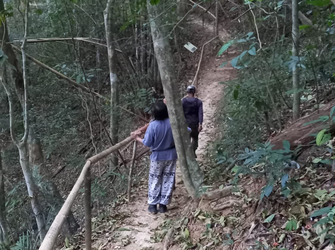 Kaeng Krachan National Park景点图片