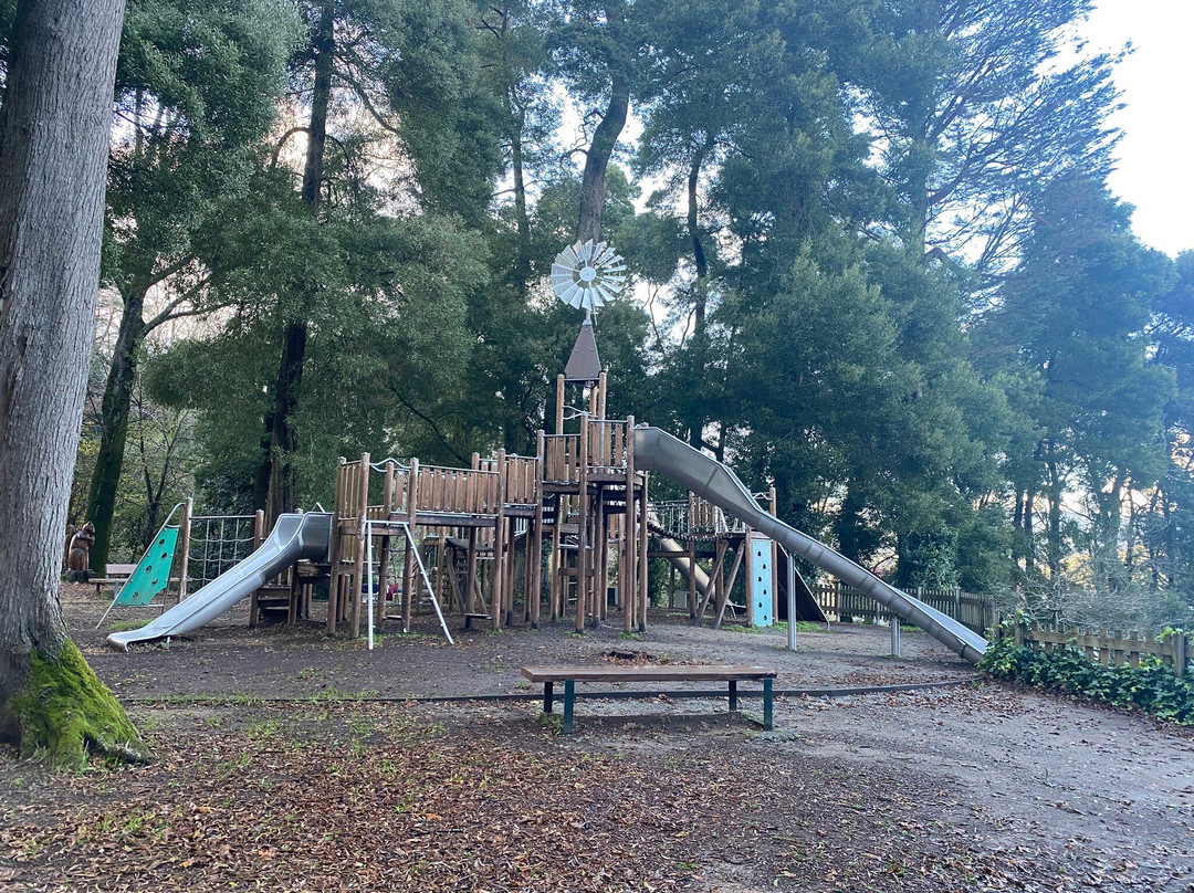 Parque dos Sentidos景点图片