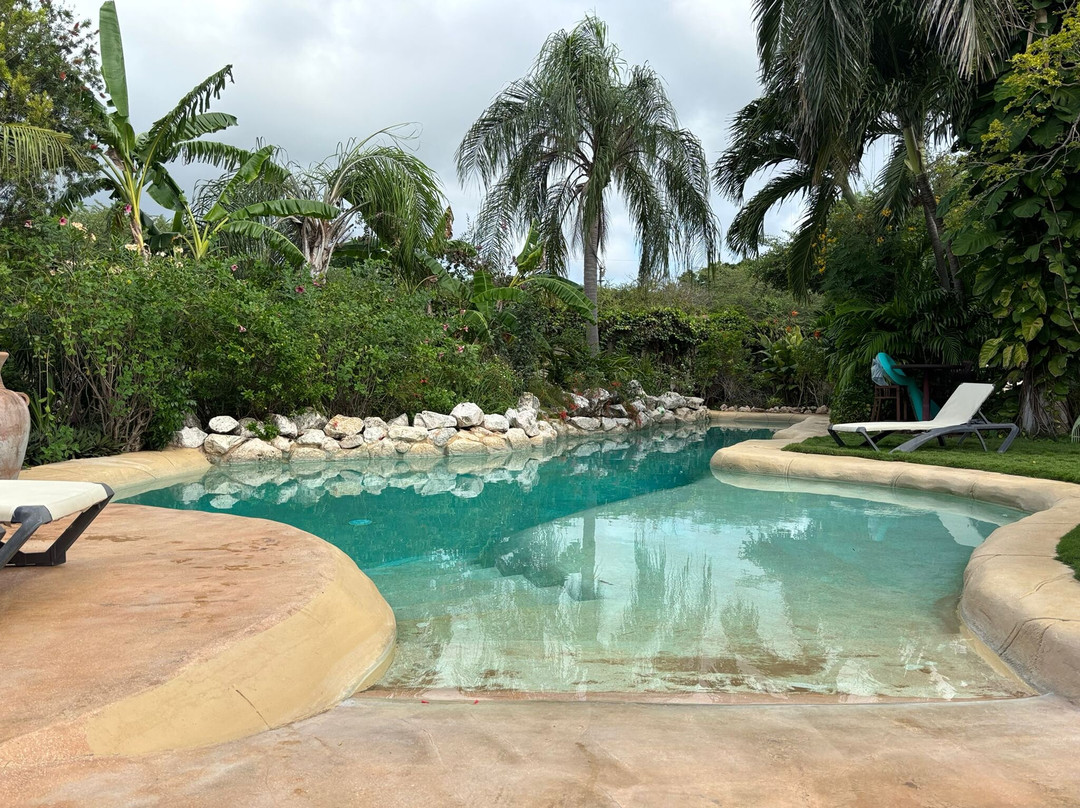 B&B Villa Zomerland主图