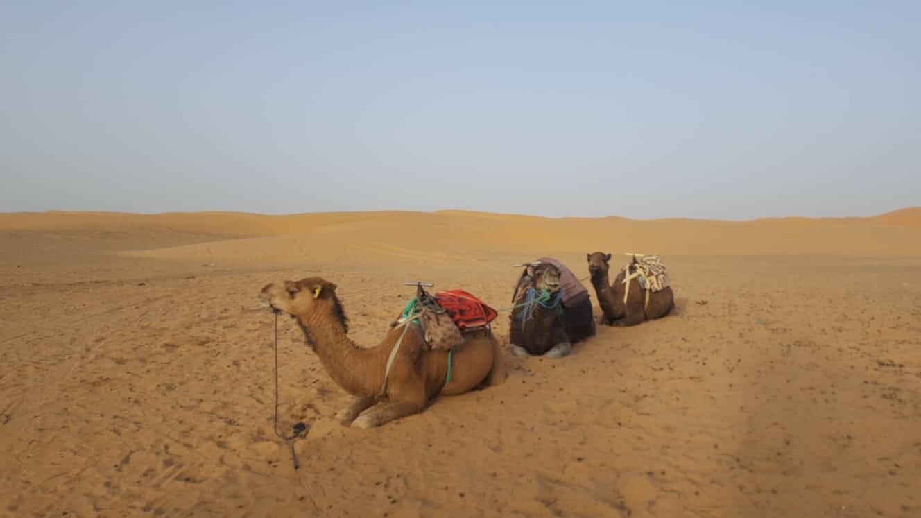 Auberge Du Sud-官方