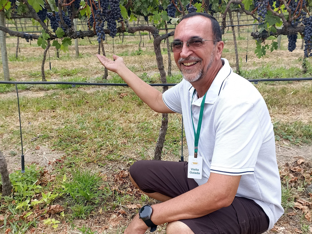 Vinícola Vale Das Colinas-Garanhuns必去景点