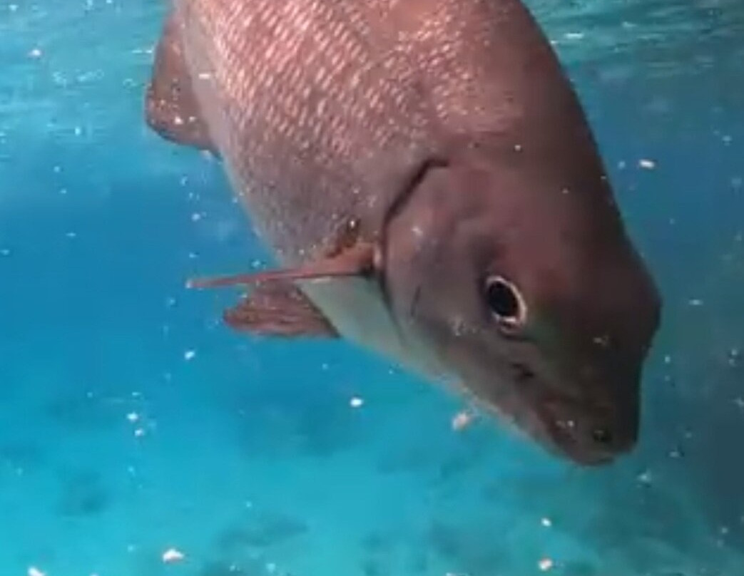 Adventura Cayman-Camana Bay必去景点