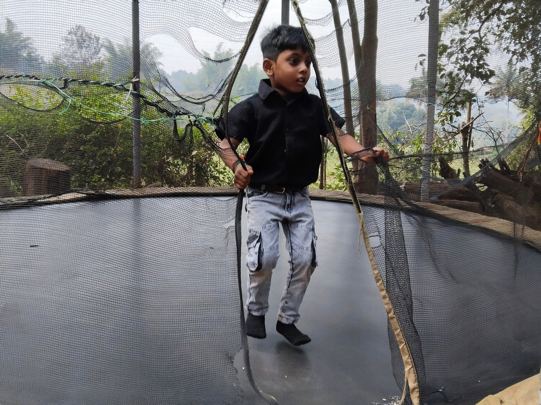 Cloud Forest Entertainment Park景点图片
