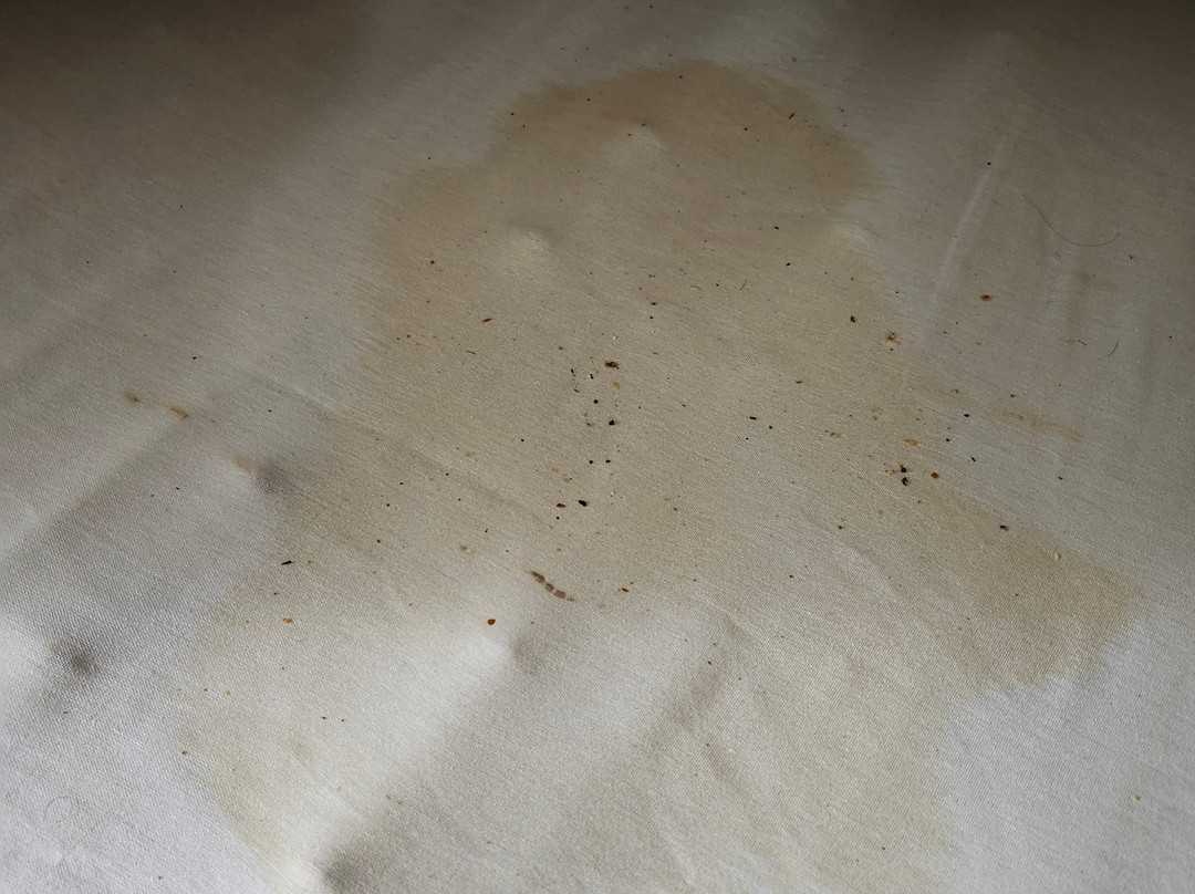 温德姆速8酒店奥马哈I-80西主图