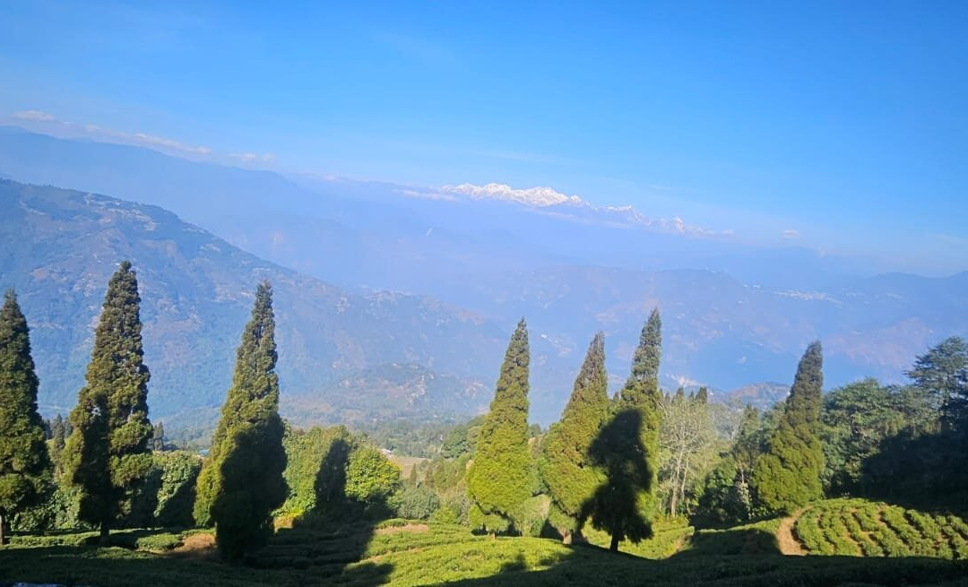 Lamahatta-大吉岭必去景点