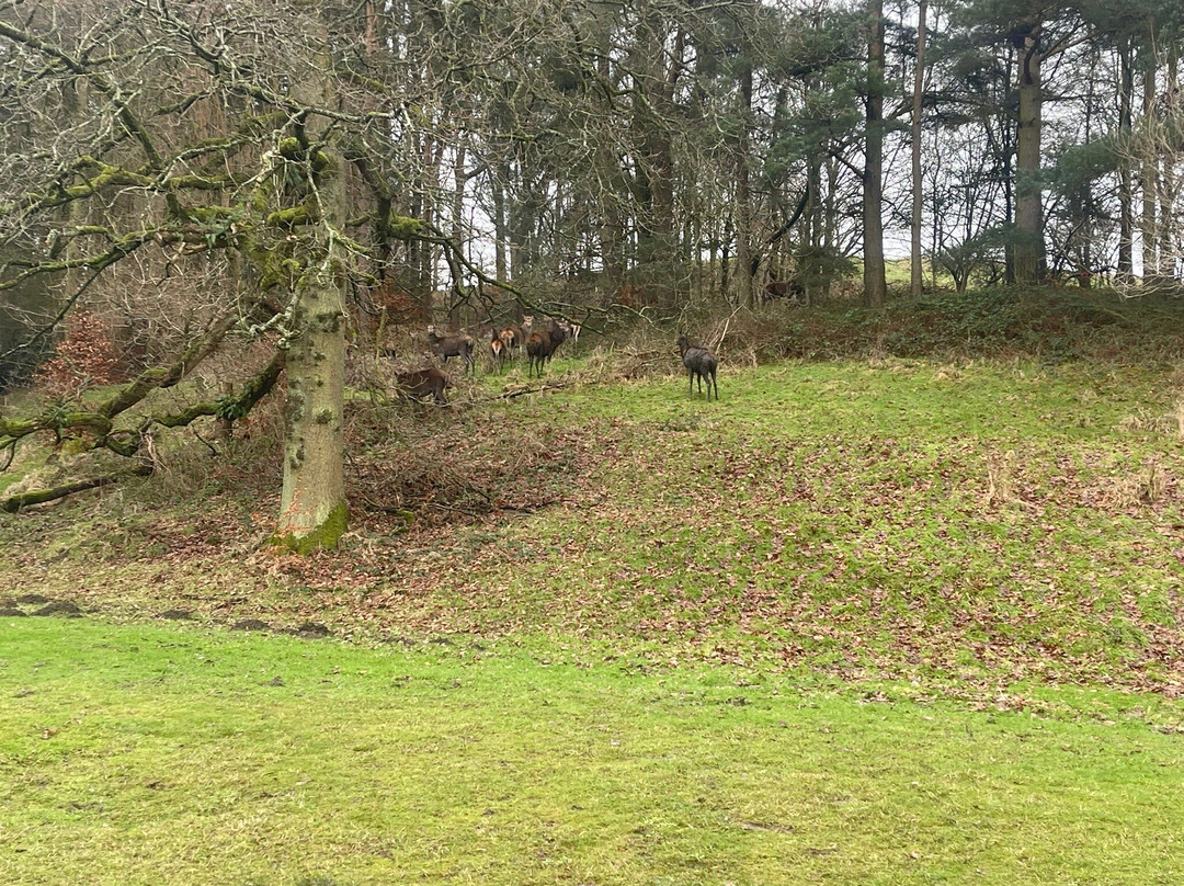 Shrigley Hall Golf Course-Pott Shrigley必去景点