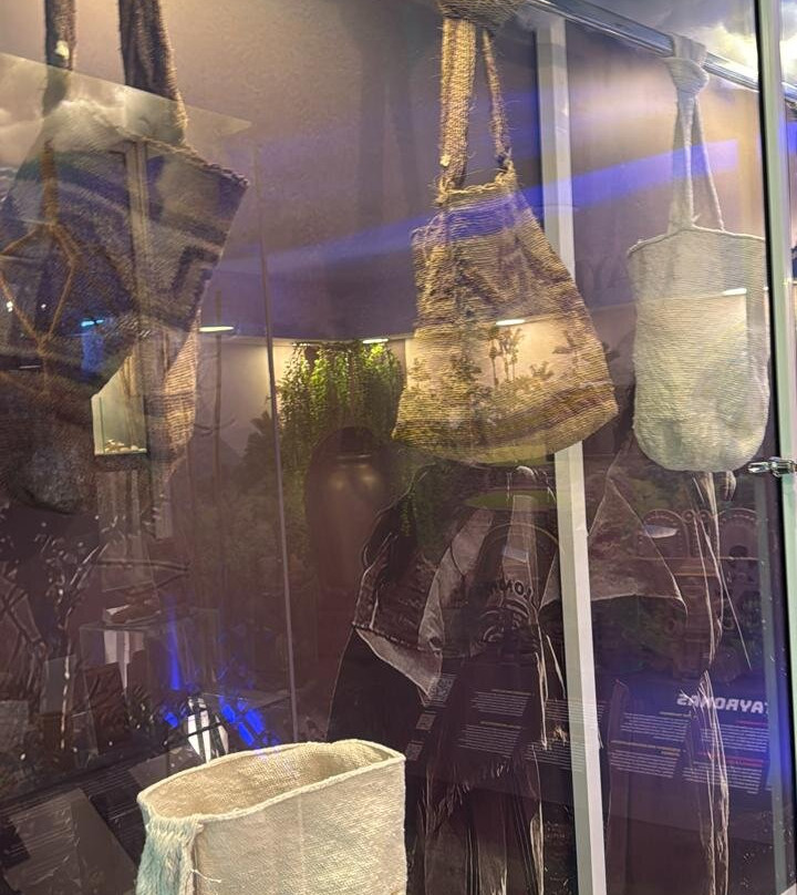 Museo Indigena Ancestral景点图片