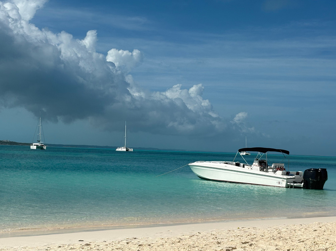 Turtle Divers-George Town必去景点